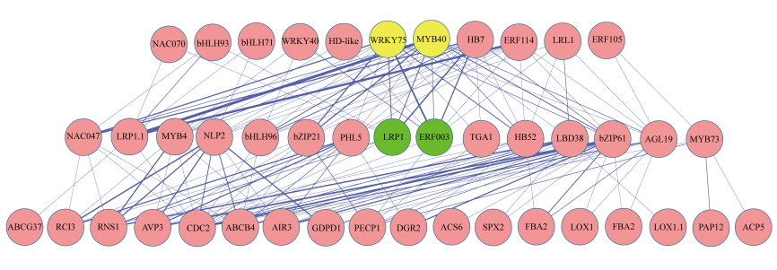 图片3.png 图片3.png