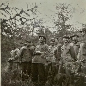 塞罕坝200.jpg